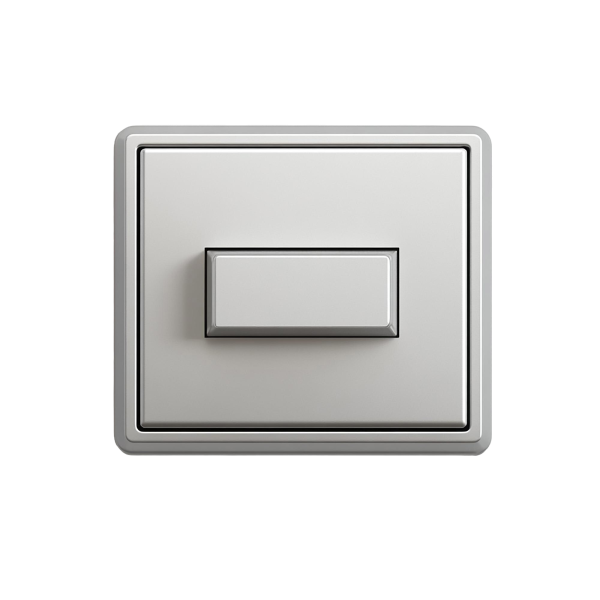 สวิทซ์ปลั๊ก