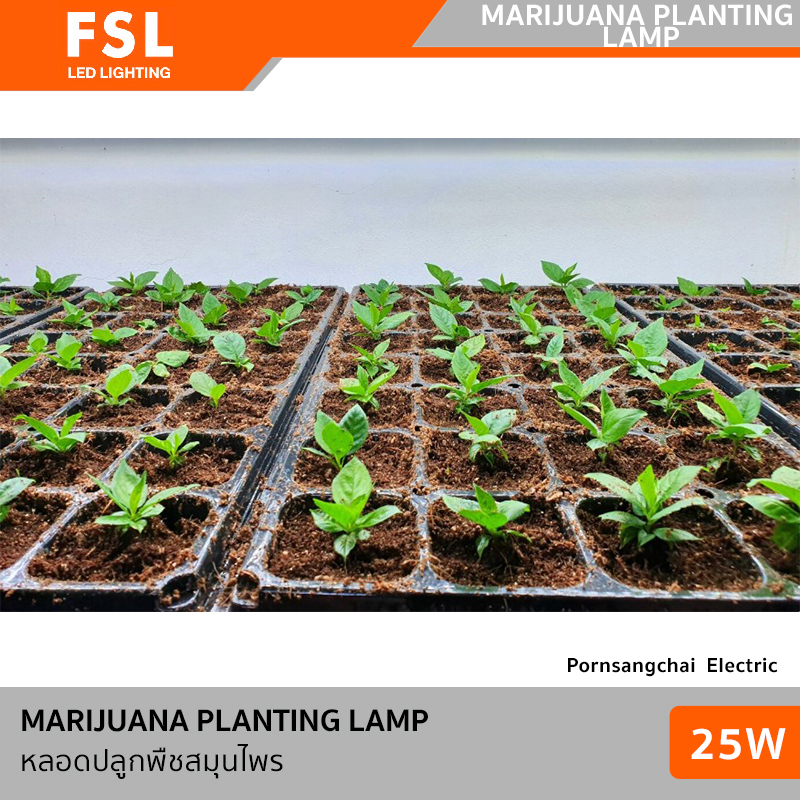 หลอดไฟ ปลูกต้นไม้ 25W 4000K แสงคูลไวท์ LED FSL รุ่น - Image 3