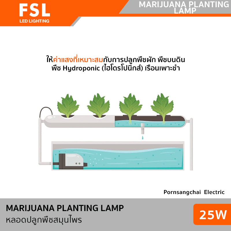 หลอดไฟ ปลูกต้นไม้ 25W 4000K แสงคูลไวท์ LED FSL รุ่น - Image 2